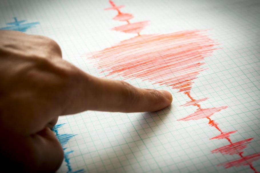 seismograf cutremur în Vrancea