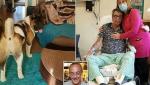 Disperarea unei femei, după ce câinele familiei i-a omorât fratele și îl va lăsa pe soțul ei fără ambele picioare, în Anglia: ''E ca și cum treci dintr-un coșmar în altul''