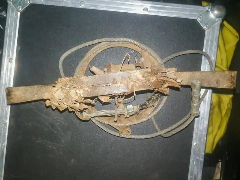 Imagini rare de la salvarea unui pui de tigru. Tigroaica așteaptă ca puiul să fie eliberat din capcană, fără să-i atace pe salvatori, în Rusia