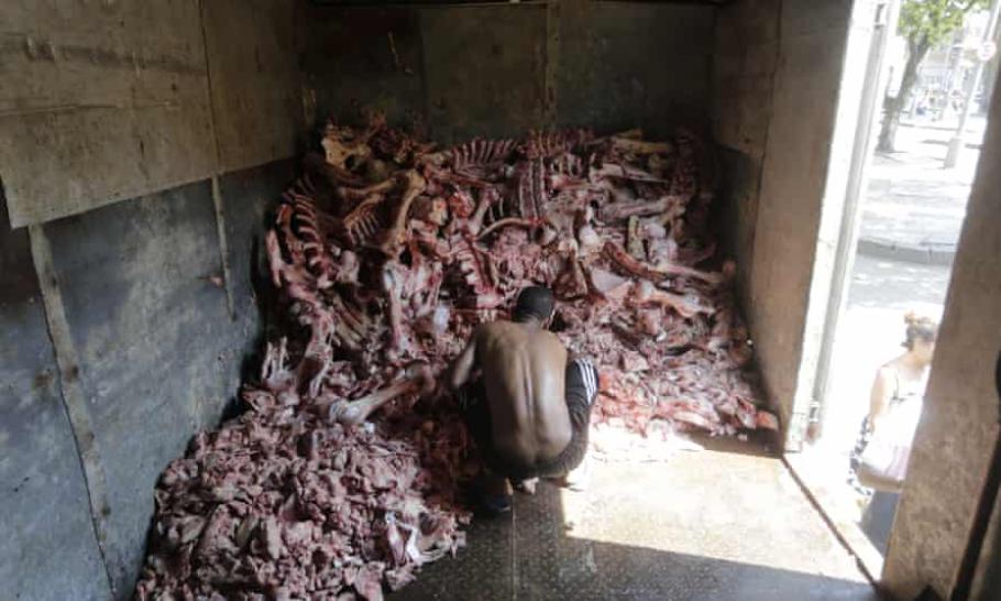 Brazilian surprins în timp ce căuta hrană într-un camion cu resturi de animale Brazilian surprins în timp ce căuta hrană într-un camion cu resturi de animale