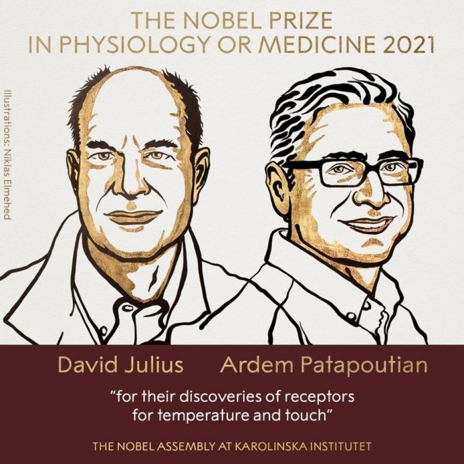 Laureaţii Premiului Nobel pentru Medicină pe 2021 Laureaţii Premiului Nobel pentru Medicină pe 2021