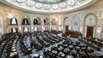 Senatul a adoptat OUG 95/2021 privind Programul "Anghel Saligny". PSD a votat alături de PNL și UDMR