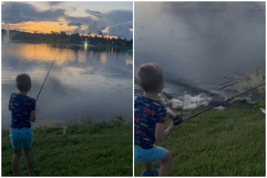 Un aligator a înhăţat undiţa din mâinile copilului, pe malul unui iaz din Florida Un aligator a înhăţat undiţa din mâinile copilului, pe malul unui iaz din Florida