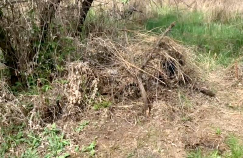 Un tânăr a fost ucis de un fals vrăjitor, după ce a apelat la magia neagră ca să-și salveze căsnicia, în Rusia Un tânăr a fost ucis de un fals vrăjitor, după ce a apelat la magia neagră ca să-și salveze căsnicia, în Rusia