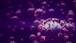 O companie britanică anunță începerea unui studiu clinic pentru primul vaccin anti-Covid administrat sub forma unui plasture