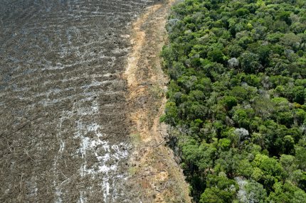 Decizie comună la summit-ul COP26: stop defrişărilor. Brazilia, Rusia sau Canada, printre ţările care au semnat acordul