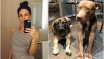O femeie, care a sângerat până la moarte după ce a fost sfâșiată de câinii ei, încerca să îi despartă de animalele vecinilor, în SUA