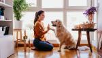 Cum să-ți amenajezi locuința când ai un animal de companie