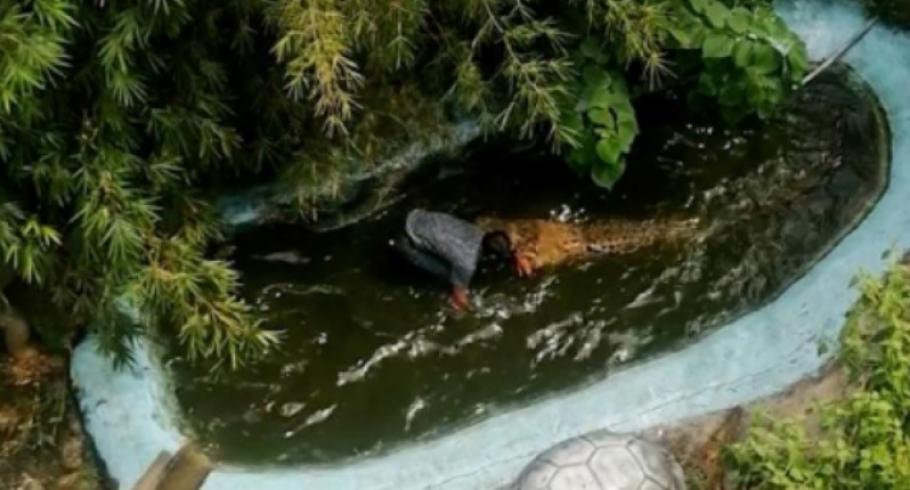 Un bătrânel de 68 de ani a văzut moartea cu ochii, chiar de ziua lui. Omul a confundat un crocodil de 4 metri, cu unul de jucărie Un bătrânel de 68 de ani a văzut moartea cu ochii, chiar de ziua lui. Omul a confundat un crocodil de 4 metri, cu unul de jucărie