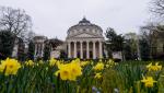 Cele mai frumoase monumente istorice din România