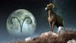 Horoscop săptămâna 8 noiembrie - 14 noiembrie 2021 pentru zodia Berbec