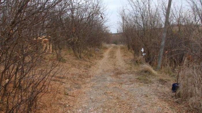Tineri uciși cu ranga din răzbunare, după ce ar fi trișat la un joc de cărți. Dublu omor la Fălești, în Moldova