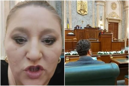 Diana Şoşoacă, derapaj în Senat: "Penibilooo! Penibilooo ce eşti! V-aţi pus cu mine, o să vă ia dracu pe toţi!" VIDEO