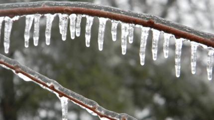 Cod galben de polei şi freezing rain în București și alte 8 judeţe