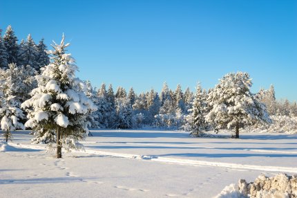 Cum va fi vremea în luna ianuarie