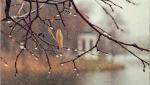 Prognoza meteo 6 decembrie 2021. Ploi și vreme închisă la început de săptămână