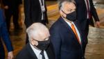 Premierul Ungariei Victor Orban vine sâmbătă la Baia Mare, la tăiatul porcului