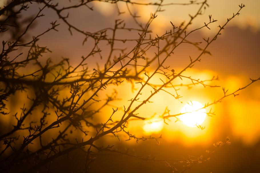 prognoza meteo vreme frumoasă pe final de februarie