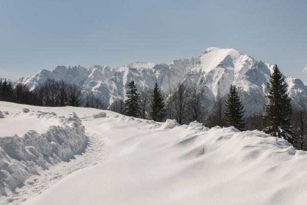 pericul de avalanșe în Carpați