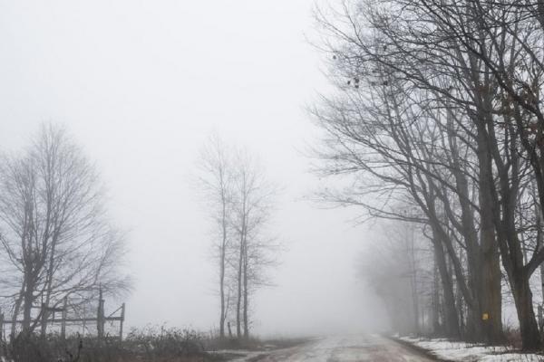Ceaţă densă în mai multe judeţe, în următoarele ore