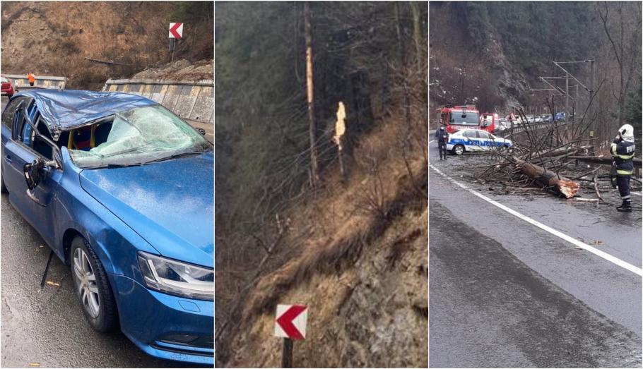 Doi copii și-au văzut mama murind, după ce un copac a căzut peste mașina cu care erau în vacanţă, la Vatra Dornei Maşina lovită de un copac la Iacobeni, unde o persoană şi-a pierdut viaţa