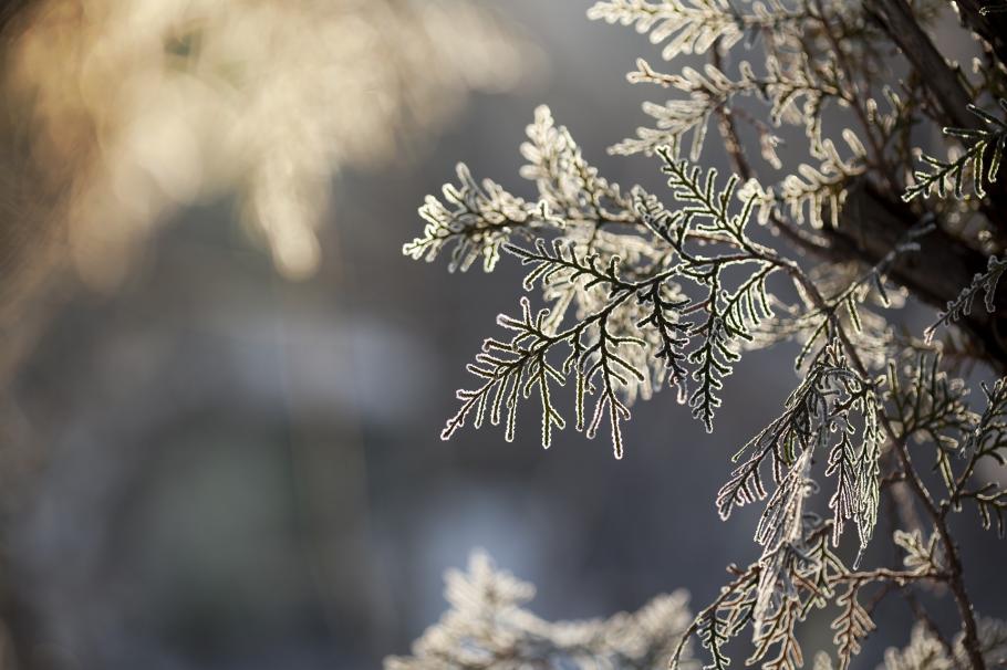 prognoza meteo 12 martie vremea 12 martie