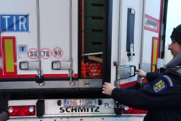 Migranţii prinşi la intrarea în România plătiseră câte 2.000 de euro pentru a ajunge în Germania