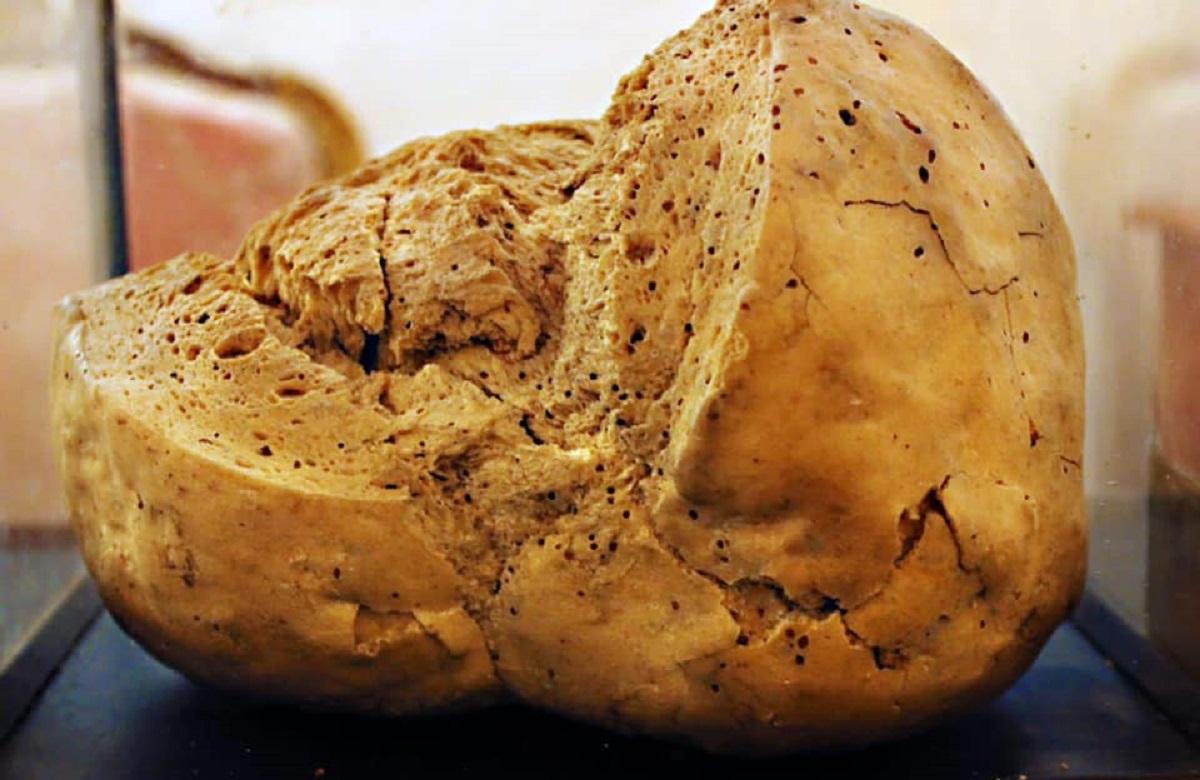 Cea mai veche pâine din lume