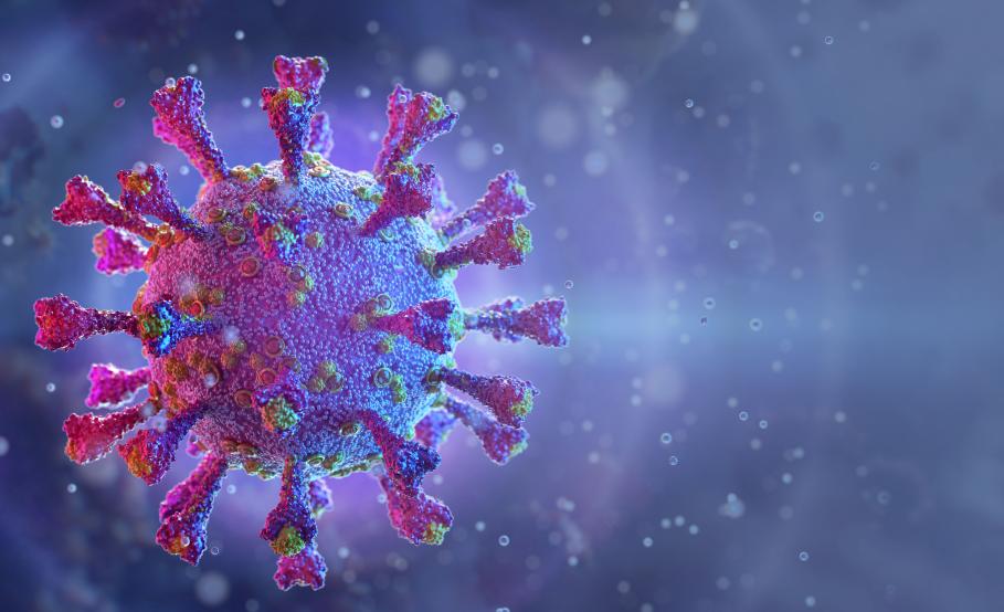 Celulă de coronavirus Celulă de coronavirus