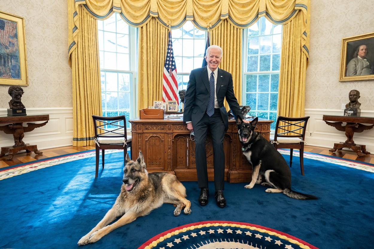 Câinii lui Joe Biden au fost alungați de la Casa Albă