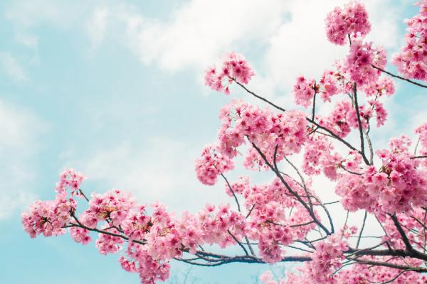 Vremea 30 aprilie. Temperaturi în uşoară creştere, dar nu scăpăm de ploi