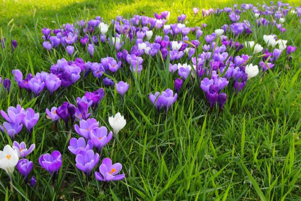Vremea 1 mai. Temperaturi în creştere, dar instabilitatea atmosferică va predomina