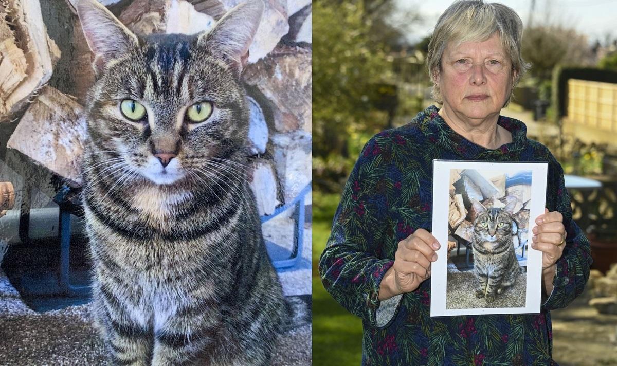 Shirley Gear-Evans ţine în mână o poză cu pisica Ruby