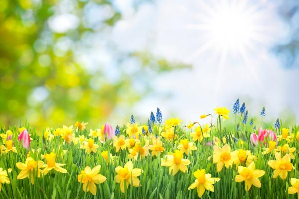 Vremea 2 mai. Temperaturi extrem de ridicate pentru această perioadă, dar nu scăpăm de ploi