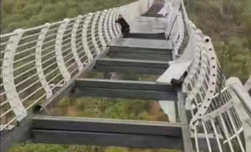 Captură video Captură video