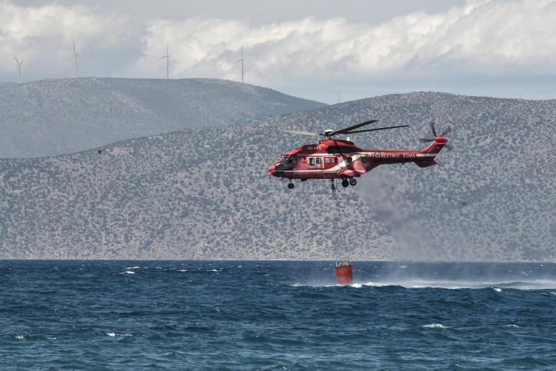 Elicopter