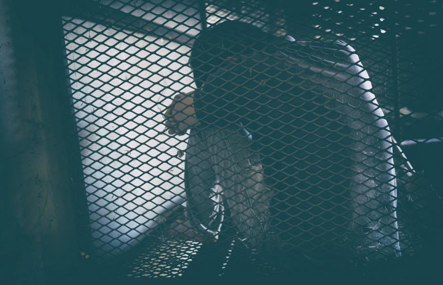 Un bărbat cu probleme psihice, ţinut într-o cuşcă de propria familie, a fost eliberat după aproape două decenii, în Mongolia Un bărbat cu probleme psihice, ţinut într-o cuşcă de propria familie, a fost eliberat după aproape două decenii, în Mongolia