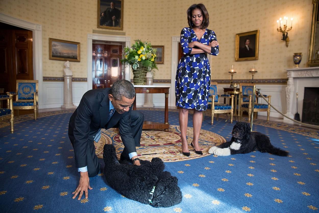 Bo și soții Obama