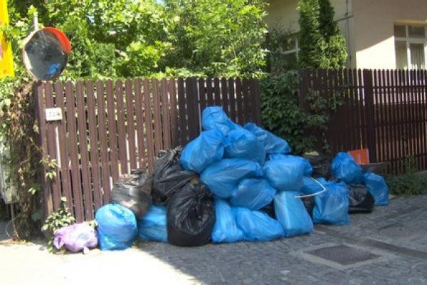 Comisarul-şef al Gărzii de Mediu București, despre poluarea din Sectorul 1: Nu sunt indicii că sunt depăşite valorile limită