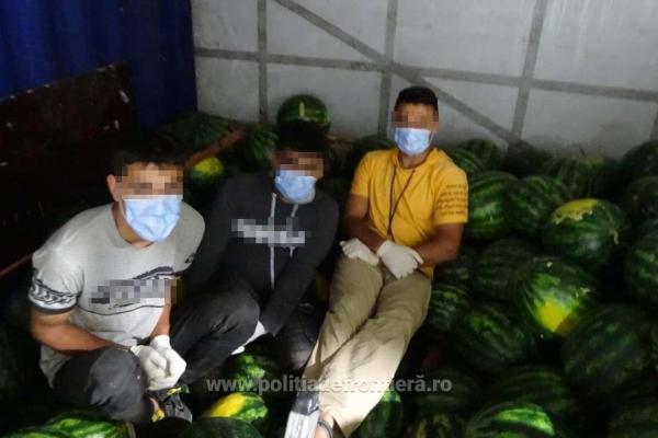 Trei migranţi au fost descoperiţi printre pepenii transportaţi de un român