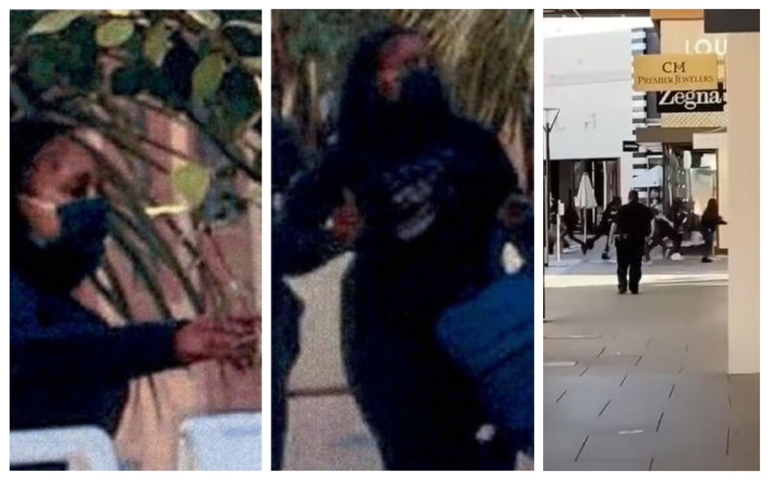 Imagini cu suspecții jafului din magazinul Louis Vuitton din California