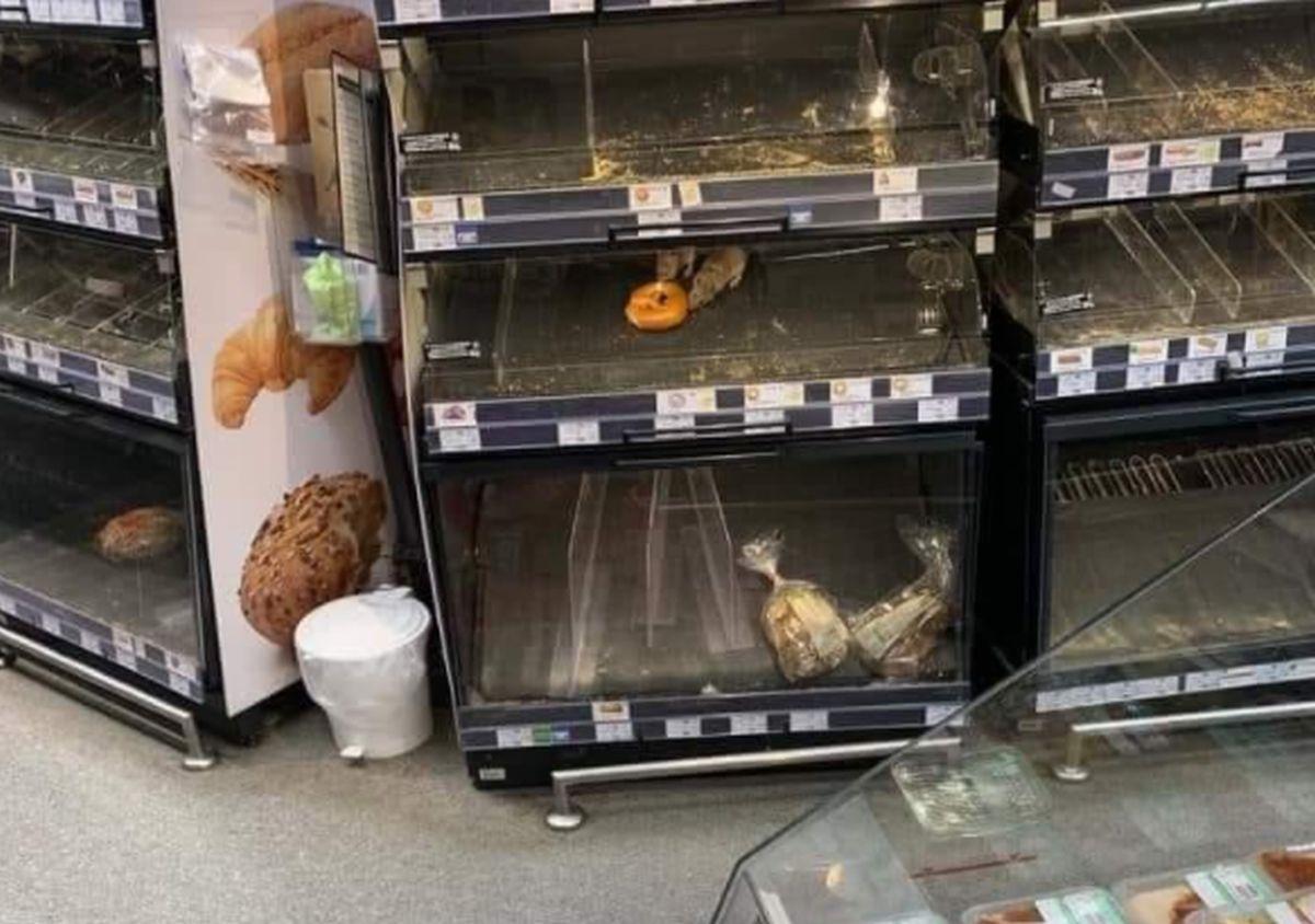 Amenda primită de supermarketul în care au fost surprinşi doi şobolani în vitrine. Magazinul are şi activitate suspendată temporar Amenda primită de supermarketul în care au fost surprinşi doi şobolani în vitrine. Magazinul are şi activitate suspendată temporar