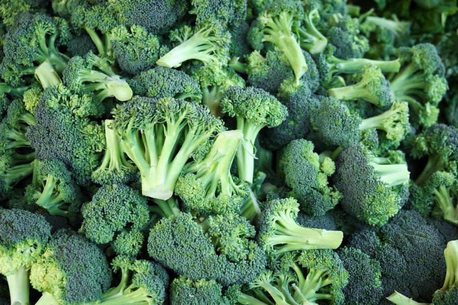 broccoli broccoli