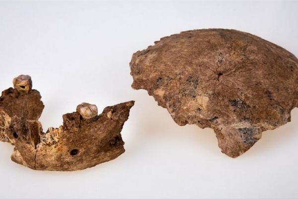 Un nou tip de om arhaic, descoperit în Israel