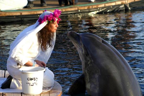 Femeie cu inima frântă după moartea soțului ei delfin. Englezoaica spune că nu se va putea recăsători