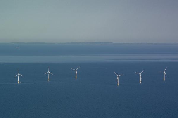 Litoralul românesc are ”un potențial eolian de 70 GW”. De ce nu se pot amplasa eoliene în Marea Neagră