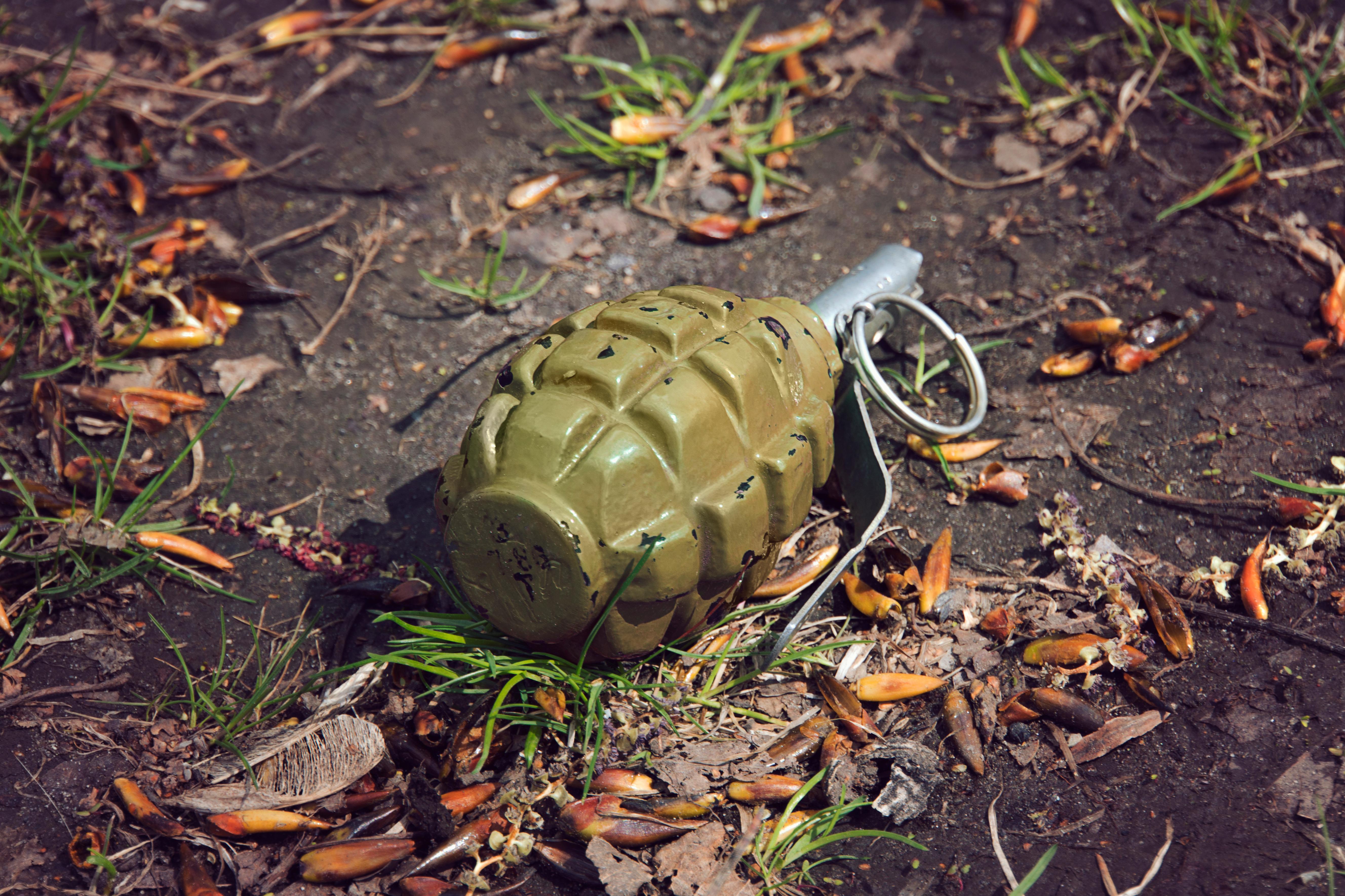 O ladă cu grenade de exercițiu a fost găsită într-un liceu din Sectorul 2. Precizările Poliției Capitalei O ladă cu grenade de exercițiu a fost găsită într-un liceu din Sectorul 2. Precizările Poliției Capitalei
