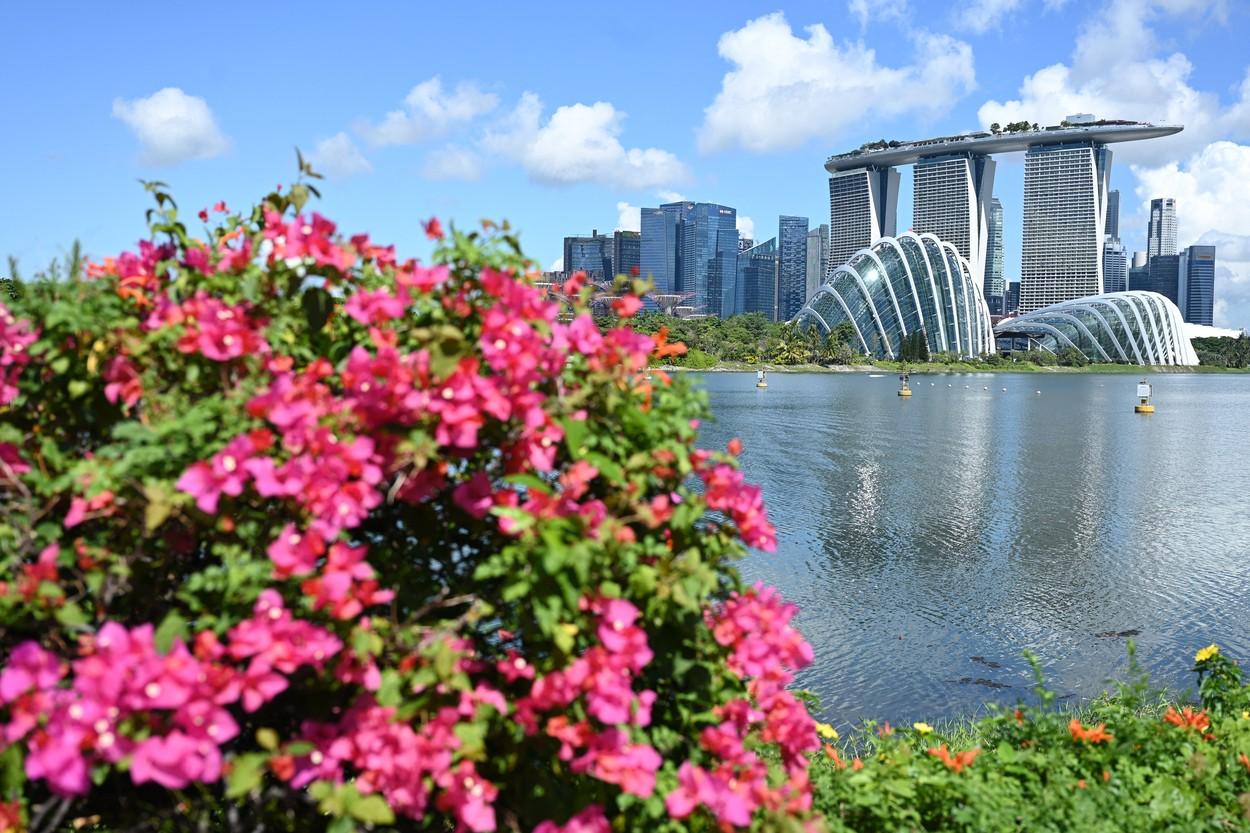 Singapore vrea să renunţe la raportarea zilnică şi să renunţe la toate măsurile restrictive: "Putem transforma pandemia în ceva mult mai puţin înfricoşător" Singapore vrea să renunţe la raportarea zilnică şi să renunţe la toate măsurile restrictive: "Putem transforma pandemia în ceva mult mai puţin înfricoşător"
