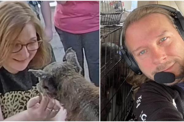 Miracol în sânul unei familii: Căţel reunit cu cei dragi, cu ajutorul unor oameni inimoşi, la zece ani după ce a dispărut de acasă, în SUA