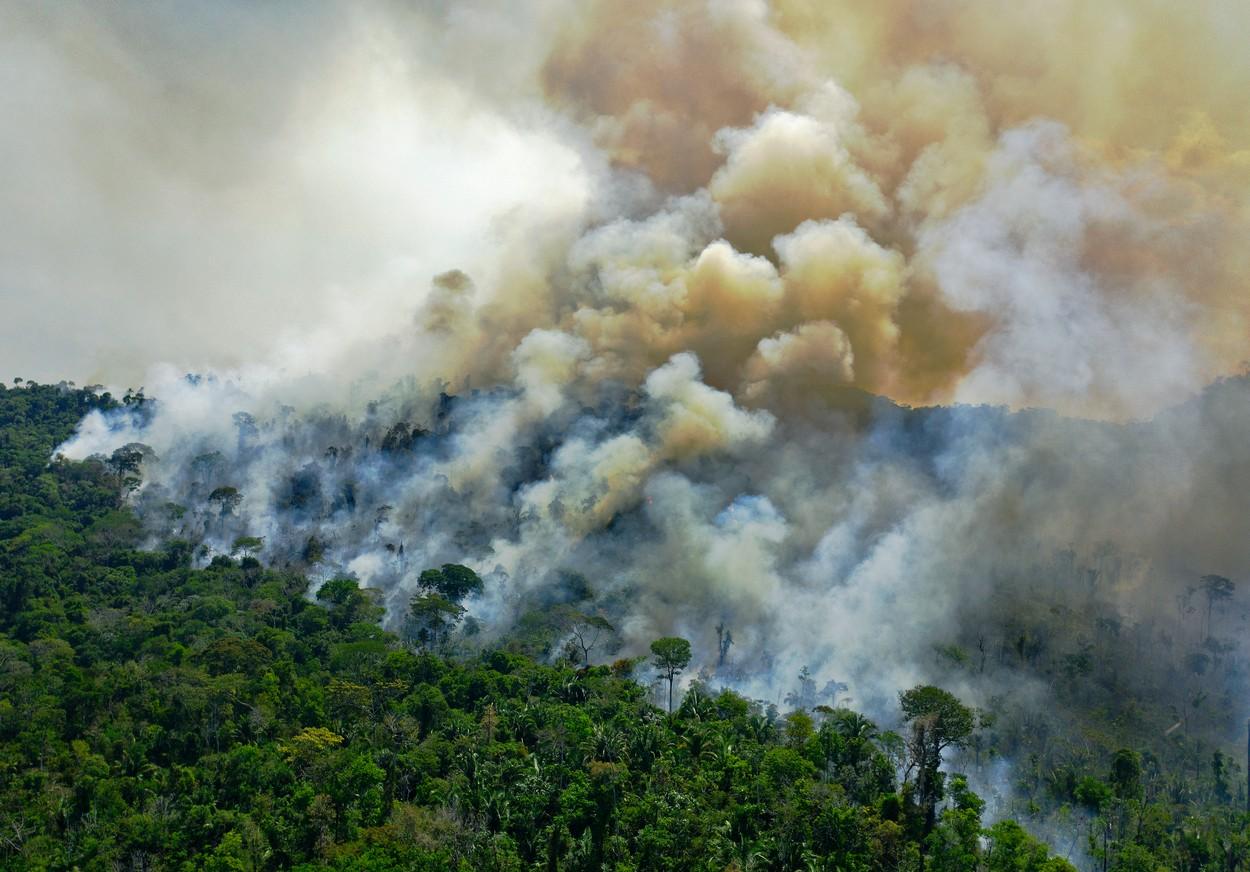 ”Cea mai mare știre în lume la ora actuală”. Omenirea a transformat Amazonul din aspirator într-o sursă de dioxid de carbon